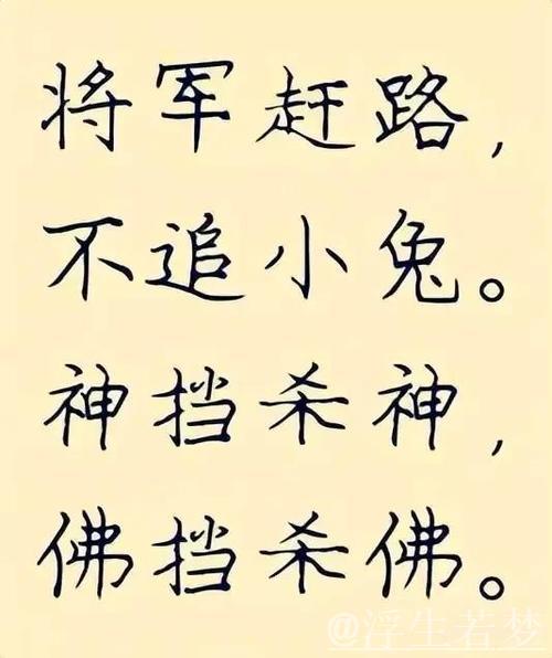 老话：“不怕千招会，只怕一招精”